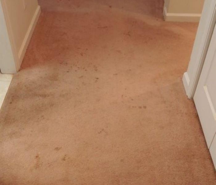 Before photo shows Hallway with dirty spotted carpeting