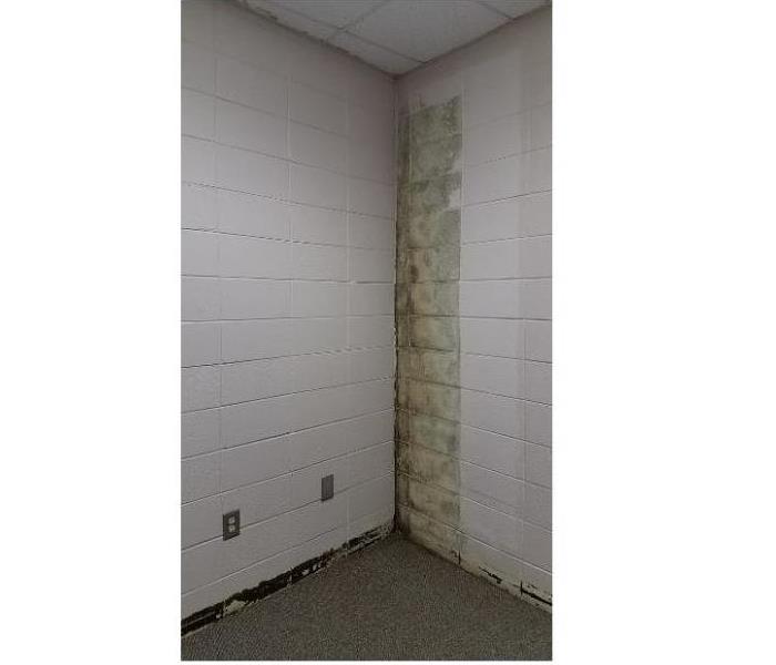 mold on a wall after a water damage